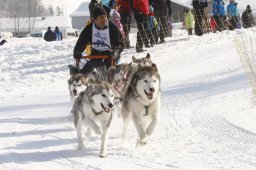 Lenk 2012 SM